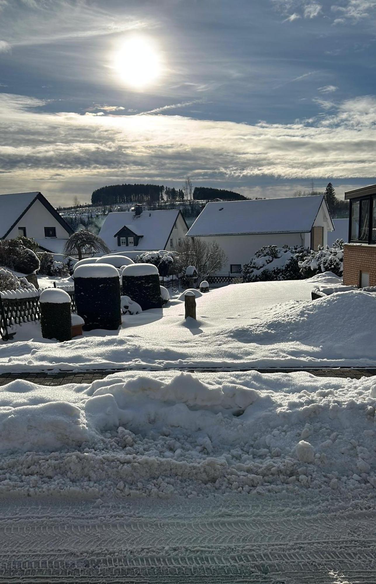 Ferienwohnung Haus Annemiek Winterberg Exterior foto